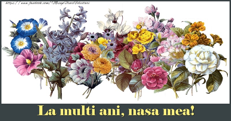 Felicitari de la multi ani pentru Nasa - La multi ani, nasa mea!