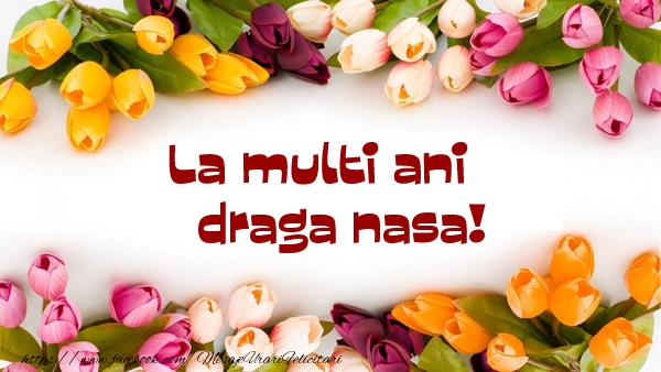 Felicitari de la multi ani pentru Nasa - La multi ani draga nasa!