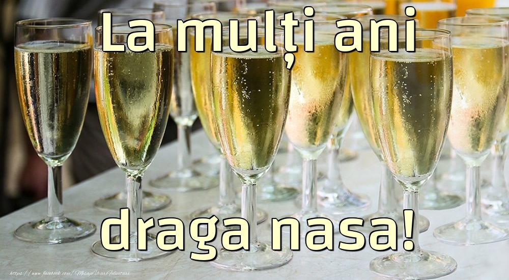 Felicitari de la multi ani pentru Nasa - La mulți ani draga nasa!