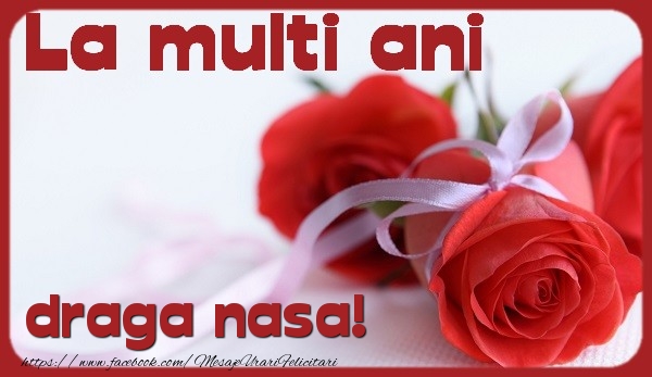 Felicitari de la multi ani pentru Nasa - La multi ani draga nasa