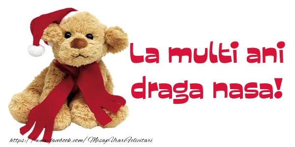 Felicitari de la multi ani pentru Nasa - La multi ani draga nasa!