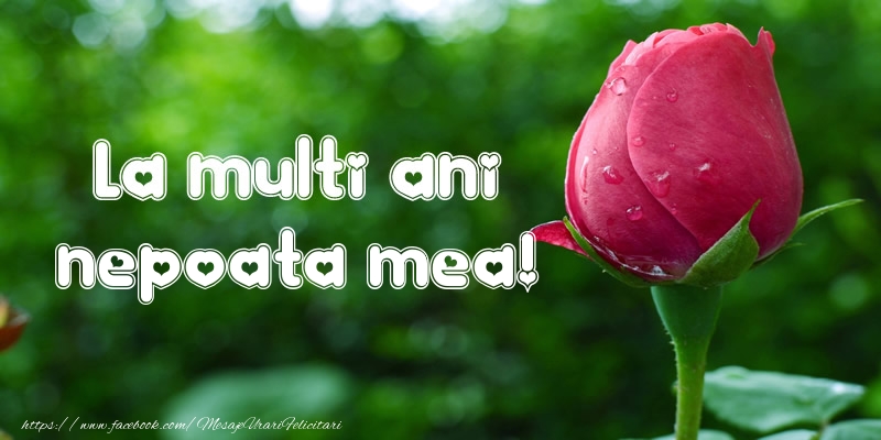 Felicitari de la multi ani pentru Nepoata - La multi ani nepoata mea!