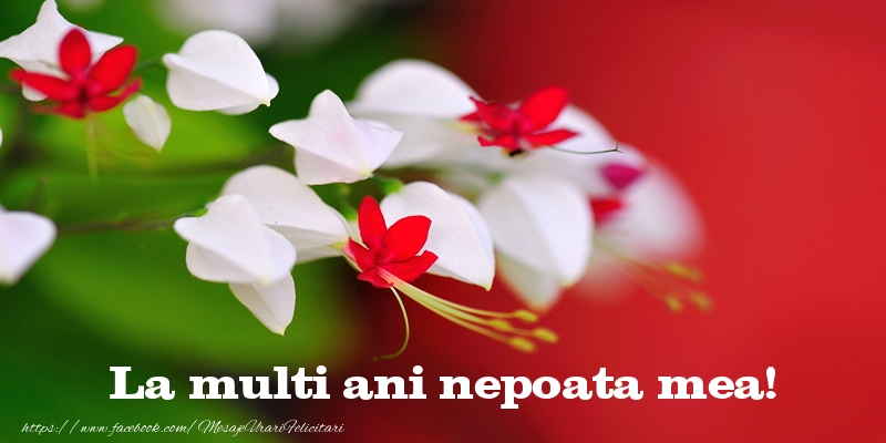 Felicitari de la multi ani pentru Nepoata - La multi ani nepoata mea!