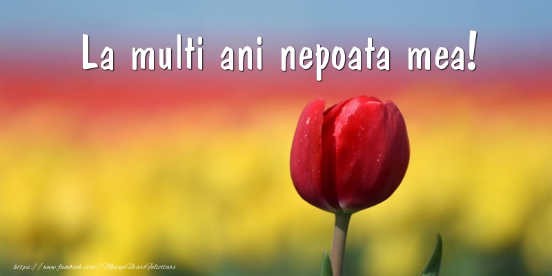 Felicitari de la multi ani pentru Nepoata - La multi ani nepoata mea!