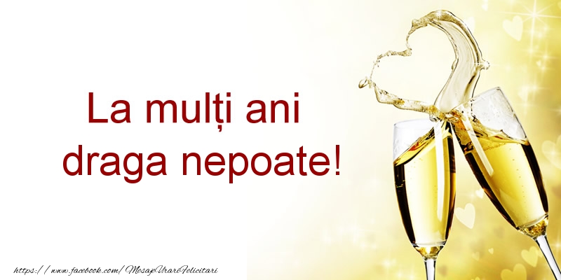 Felicitari de la multi ani pentru Nepot - La multi ani draga nepoate!