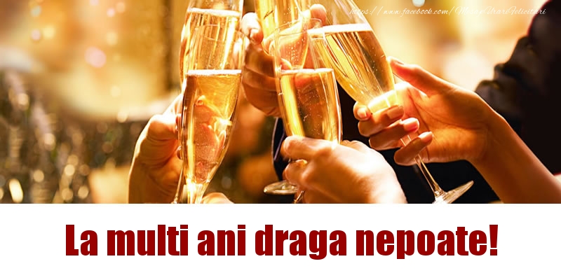 Felicitari de la multi ani pentru Nepot - La multi ani draga nepoate!