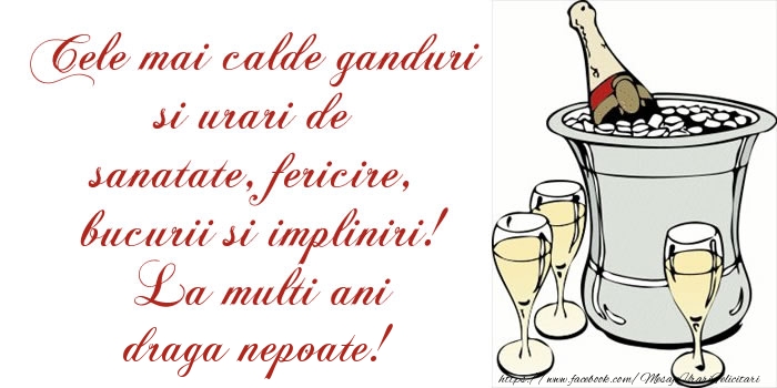 Felicitari de la multi ani pentru Nepot - Cele mai calde ganduri si urari de sanatate, fericire, bucurii si impliniri! La multi ani draga nepoate!