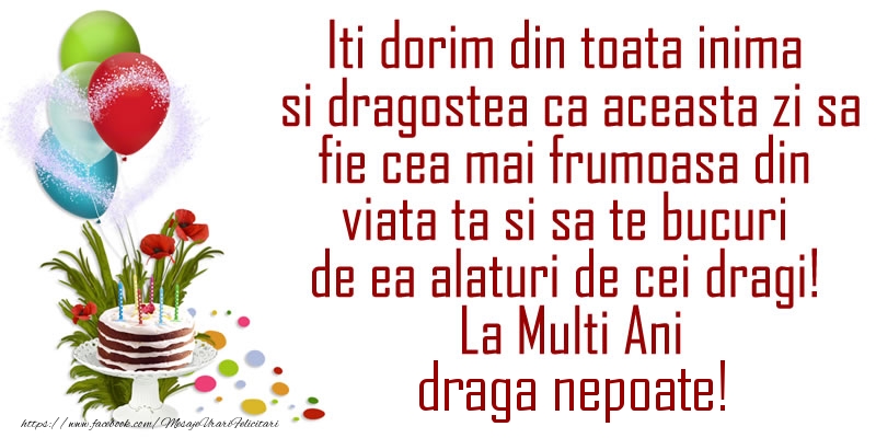 poze cu la multi ani pentru nepot Iti dorim din toata inima si dragostea ca aceasta zi sa fie cea mai frumoasa din viata ta ... La Multi Ani draga nepoate!