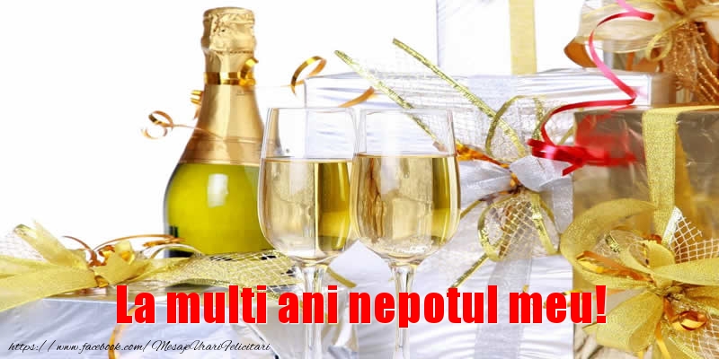 Felicitari de la multi ani pentru Nepot - La multi ani nepotul meu!