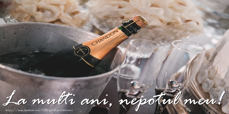 Felicitari de la multi ani pentru Nepot - La multi ani, nepotul meu!