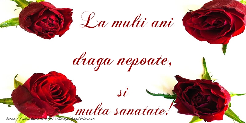 Felicitari de la multi ani pentru Nepot - La multi ani! draga nepoate Sanatate multa!