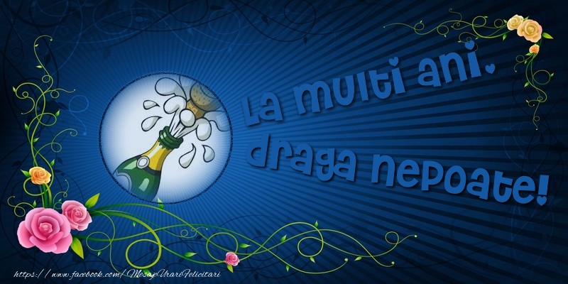 Felicitari de la multi ani pentru Nepot - La multi ani, draga nepoate!