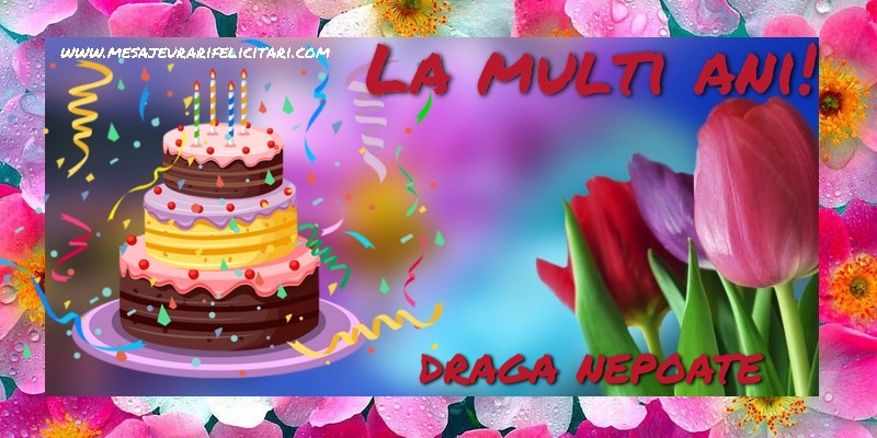 Felicitari de la multi ani pentru Nepot - La multi ani, draga nepoate!