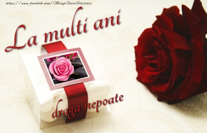 Felicitari de la multi ani pentru Nepot - La multi ani, draga nepoate!