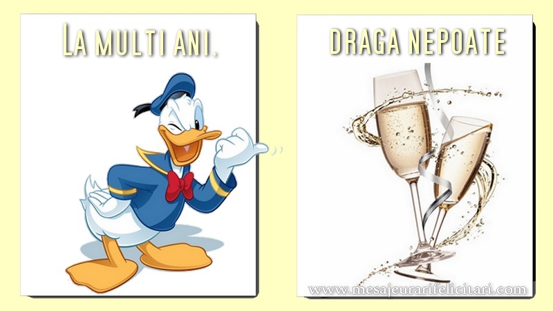 Felicitari de la multi ani pentru Nepot - La multi ani, draga nepoate!