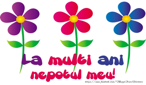 Felicitari de la multi ani pentru Nepot - La multi ani nepotul meu!