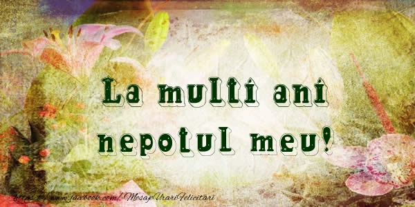 Felicitari de la multi ani pentru Nepot - La multi ani nepotul meu!