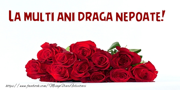 Felicitari de la multi ani pentru Nepot - La multi ani draga nepoate!