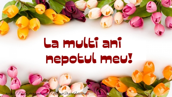 Felicitari de la multi ani pentru Nepot - La multi ani nepotul meu!