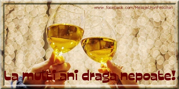 Felicitari de la multi ani pentru Nepot - La multi ani draga nepoate