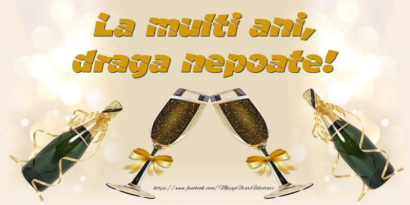 Felicitari de la multi ani pentru Nepot - La multi ani, draga nepoate!