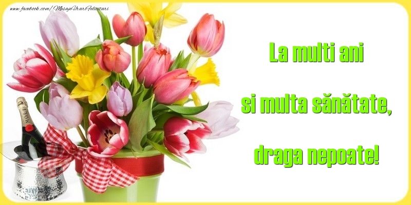 Felicitari de la multi ani pentru Nepot - La multi ani si multa sănătate, draga nepoate