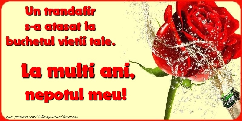 Felicitari de la multi ani pentru Nepot - Un trandafir s-a atasat la buchetul vietii tale. nepotul meu
