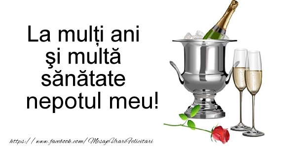 Felicitari de la multi ani pentru Nepot - La multi ani si multa sanatate nepotul meu!