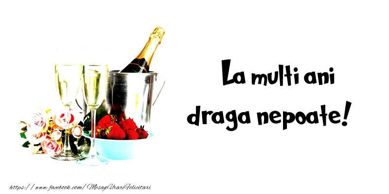 Felicitari de la multi ani pentru Nepot - La multi ani draga nepoate!