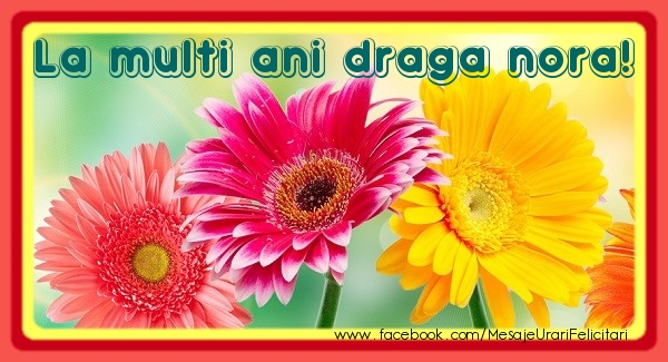 Felicitari de la multi ani pentru Nora - La multi ani draga nora!