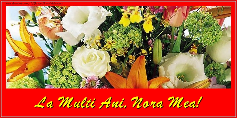 Felicitari de la multi ani pentru Nora - La multi ani, nora mea!