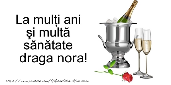 Felicitari de la multi ani pentru Nora - La multi ani si multa sanatate draga nora!