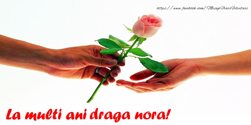 Felicitari de la multi ani pentru Nora - La multi ani draga nora!