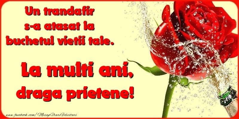 Felicitari de la multi ani pentru Prieten - Un trandafir s-a atasat la buchetul vietii tale. draga prietene