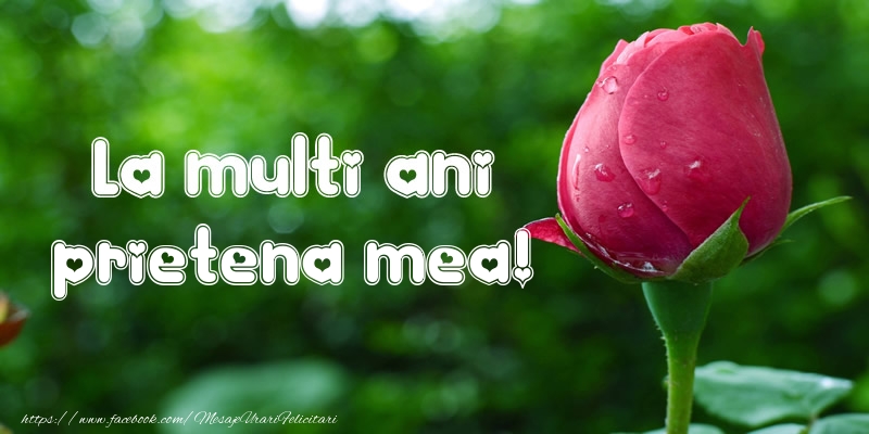 Felicitari de la multi ani pentru Prietena - La multi ani prietena mea!