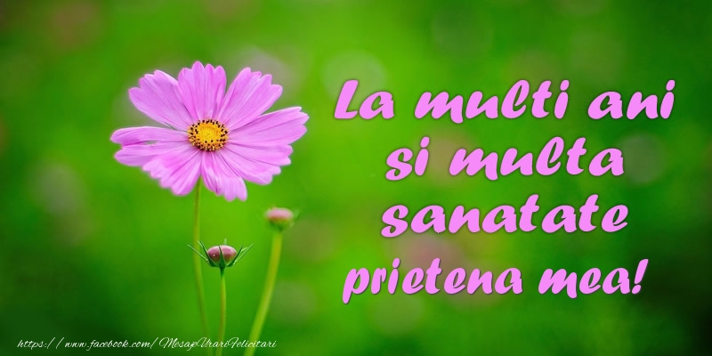 Felicitari de la multi ani pentru Prietena - La multi ani si multa sanatate prietena mea!