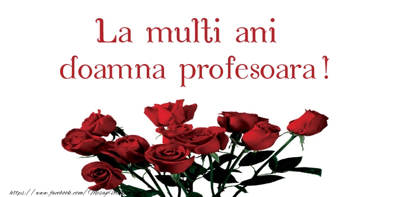 Felicitari de la multi ani pentru Profesoara - La multi ani doamna profesoara!