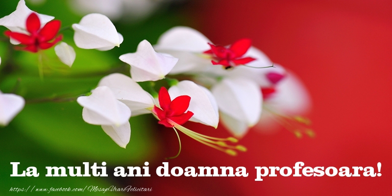 poze cu la multi ani pentru profesoara La multi ani doamna profesoara!