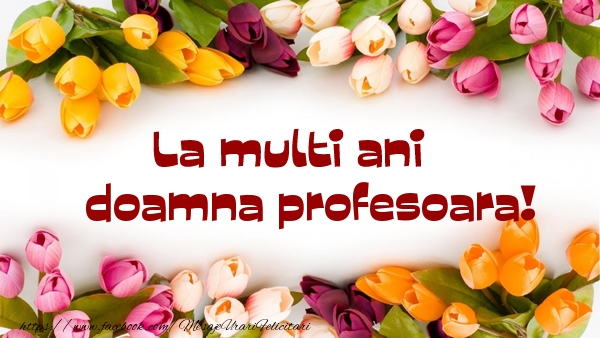 Felicitari de la multi ani pentru Profesoara - La multi ani doamna profesoara!
