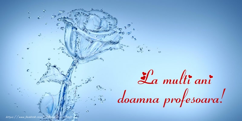 Felicitari de la multi ani pentru Profesoara - La multi ani doamna profesoara!