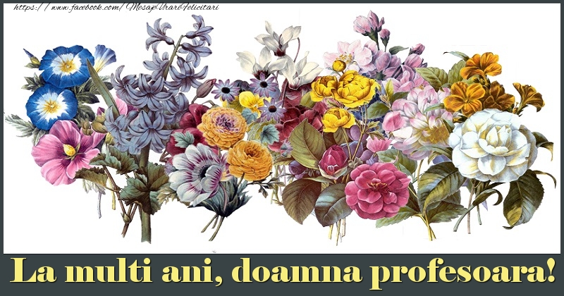 Felicitari de la multi ani pentru Profesoara - La multi ani, doamna profesoara!