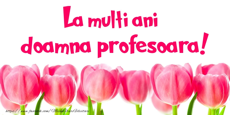 Felicitari de la multi ani pentru Profesoara - La multi ani doamna profesoara!