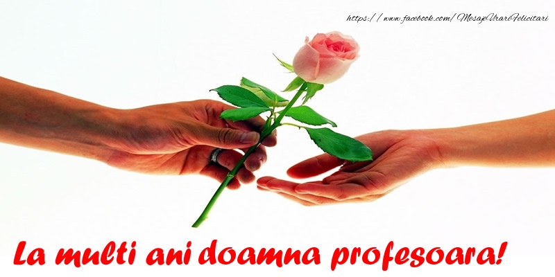 Felicitari de la multi ani pentru Profesoara - La multi ani doamna profesoara!