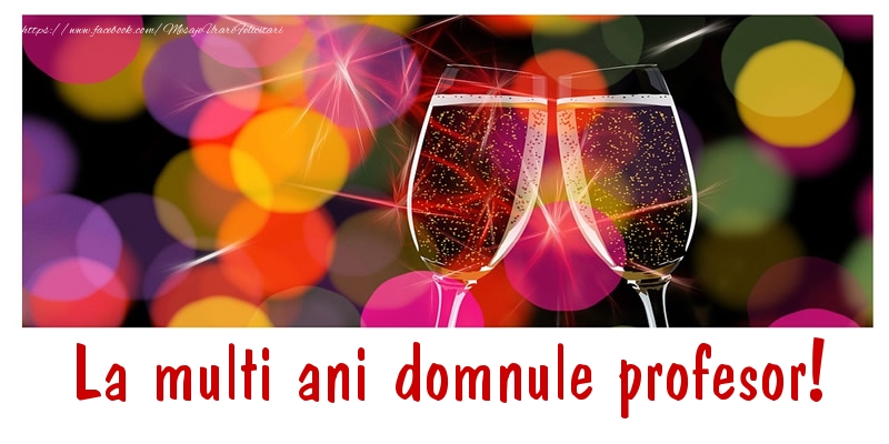 Felicitari de la multi ani pentru Profesor - La multi ani domnule profesor!