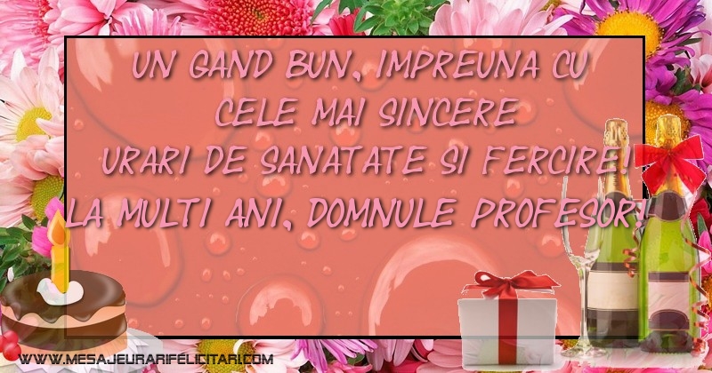 Felicitari de la multi ani pentru Profesor - La multi ani, domnule profesor!