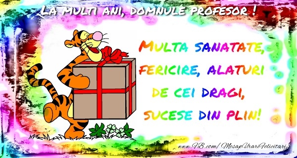 Felicitari de la multi ani pentru Profesor - La multi ani, domnule profesor!