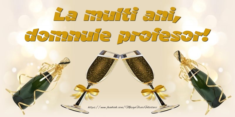 Felicitari de la multi ani pentru Profesor - La multi ani, domnule profesor!