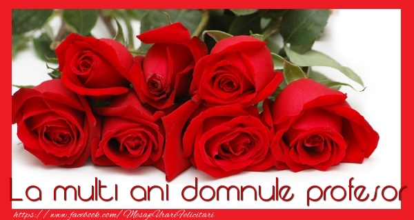 Felicitari de la multi ani pentru Profesor - La multi ani domnule profesor