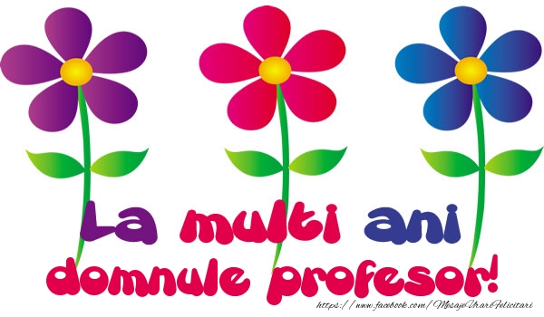 Felicitari de la multi ani pentru Profesor - La multi ani domnule profesor!