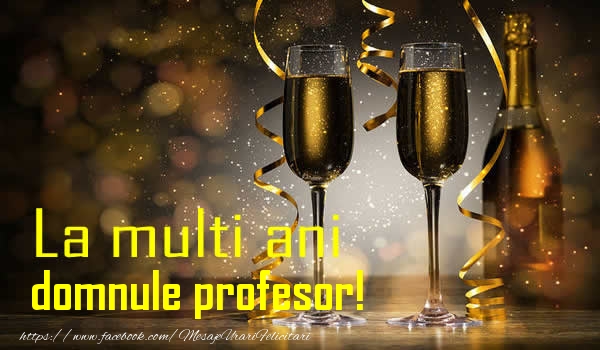 Felicitari de la multi ani pentru Profesor - La multi ani domnule profesor!